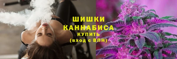 PSILOCYBIN Вяземский